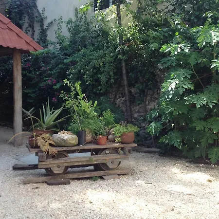 La Casa Natural Valladolid  Exterior foto
